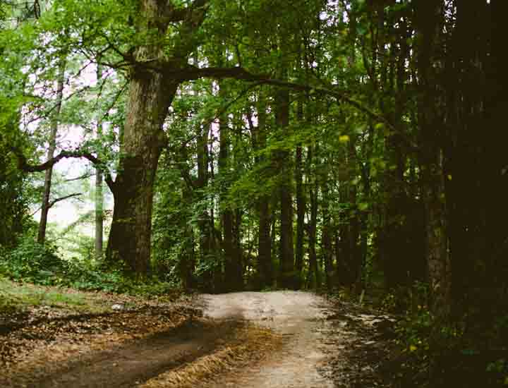 免费ddos攻击网页端